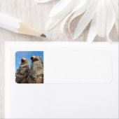 Étiquette Ours (En situation)