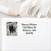 Étiquette Ours kodiak (En situation)