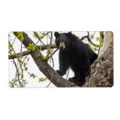 Étiquette Ours noir Escalade (Devant)