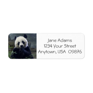 Étiquette Ours panda mignon, personnalisé