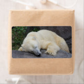 Étiquette Ours polaire dormant (En situation)