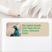 Étiquette Pacock (En situation)