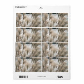 Étiquette Paille en hiver (Feuille entière)