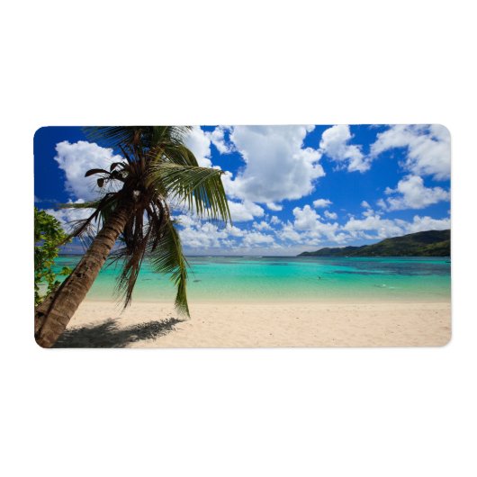 Étiquette Palmier (Devant)