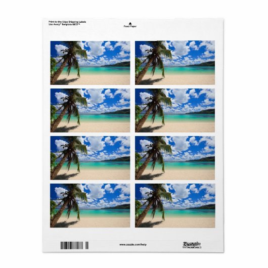 Étiquette Palmier (Feuille entière)