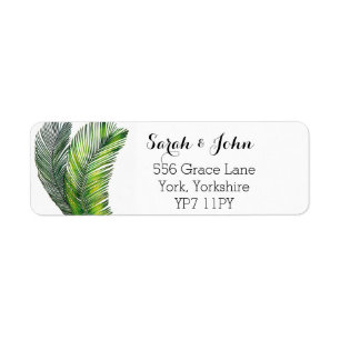Étiquette Palmier tropical sauvage Verdure Feuille