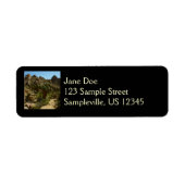 Étiquette Palms perdus Oasis II au parc national de Joshua T (Devant)