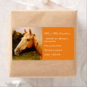 Étiquette Palomino Horse (En situation)