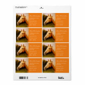 Étiquette Palomino Horse (Feuille entière)