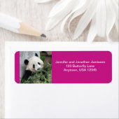 Étiquette Panda Géant Cute, Hot Rose Adresse de retour (En situation)