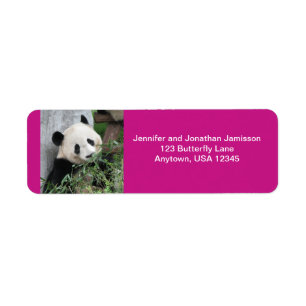 Étiquette Panda Géant Cute, Hot Rose Adresse de retour