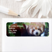 Étiquette Panda rouge (En situation)