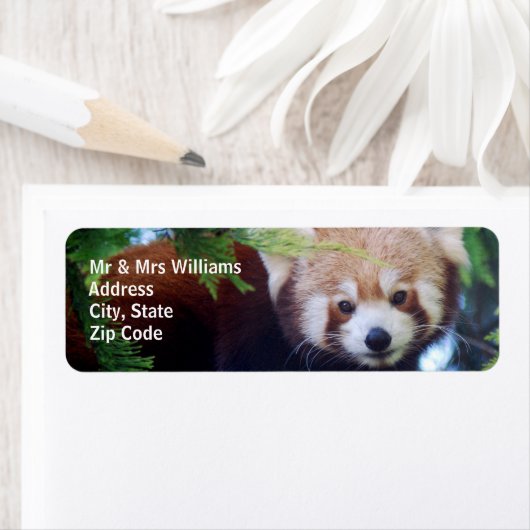 Étiquette Panda rouge (En situation)