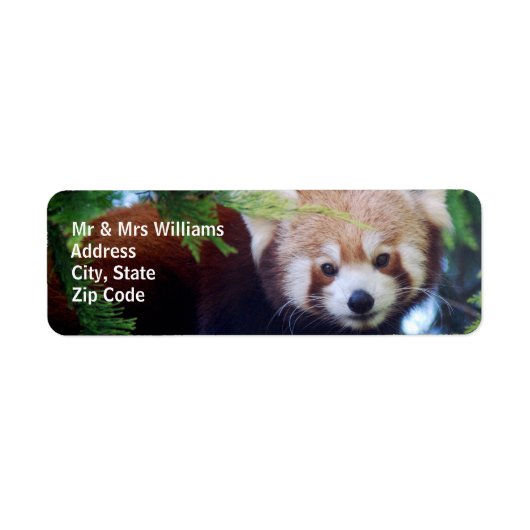 Étiquette Panda rouge (Devant)