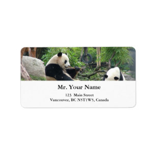 Étiquette pandas géants