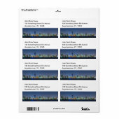 Étiquette Panorama de Miami Skyline (Feuille entière)