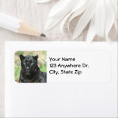 Étiquette Panthère noire (En situation)