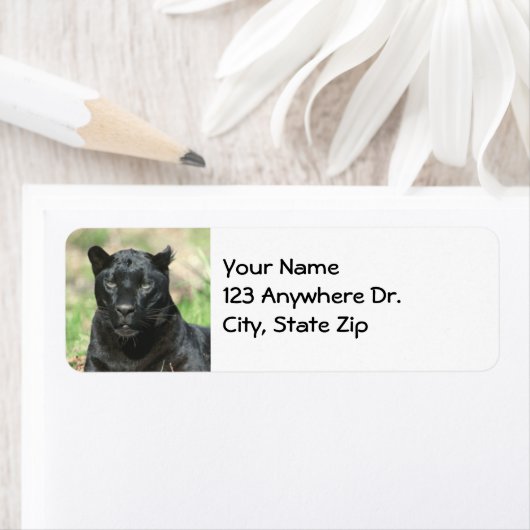 Étiquette Panthère noire (En situation)