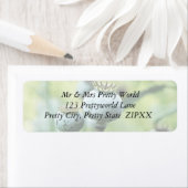 Étiquette Papaver Somniferum Têtes de graines (En situation)