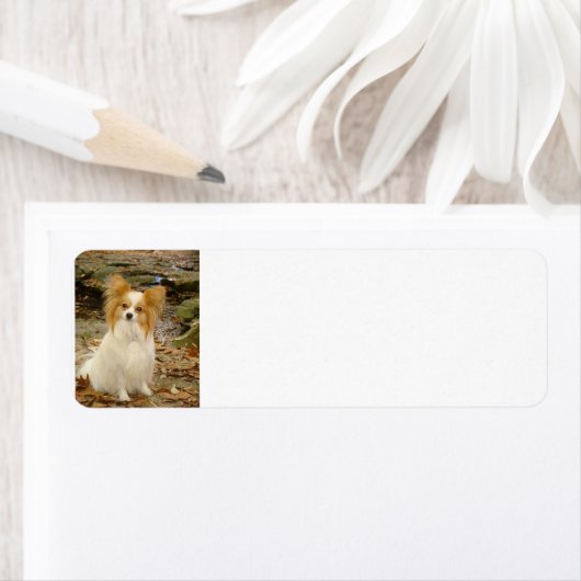 Étiquette papillon (En situation)