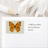 Étiquette Papillon Argus de prairie (En situation)