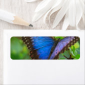 Étiquette Papillon bleu (En situation)