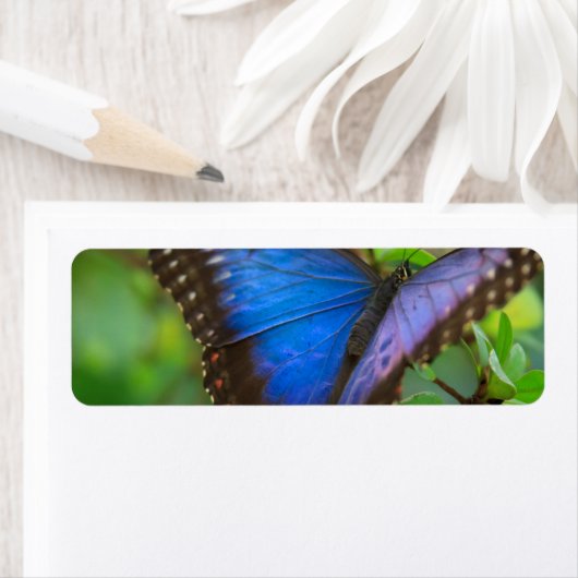 Étiquette Papillon bleu (En situation)