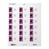 Étiquette Papillon de l'amiral rouge (Feuille entière)