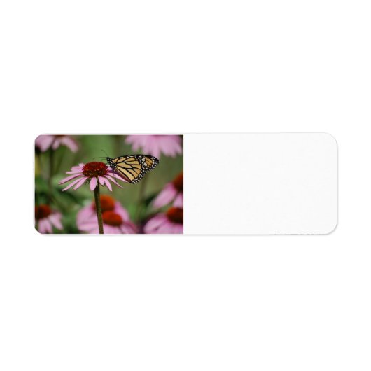 Étiquette Papillon Monarque sur Fleur (Devant)