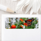 Étiquette Papillon Monarque sur Orange et Lantana Rouge (En situation)