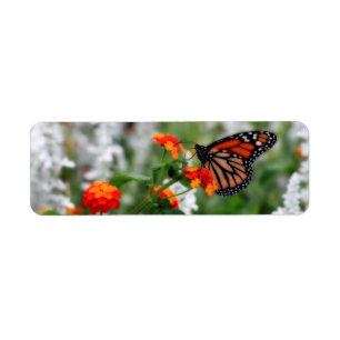 Étiquette Papillon Monarque sur Orange et Lantana Rouge
