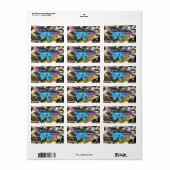 Étiquette Papillon noir sur la New River (Feuille entière)