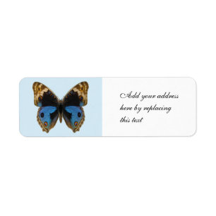 Étiquette Papillon Pansy Bleu