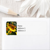 Étiquette Papillons orange sur Coreopsis jaune (En situation)