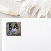 Étiquette Papillons Zebra (En situation)
