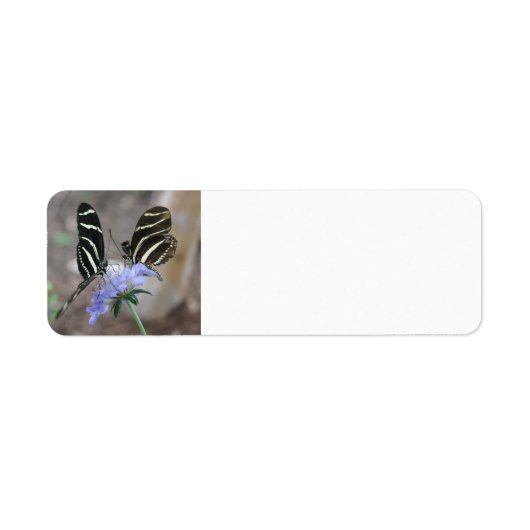 Étiquette Papillons Zebra (Devant)