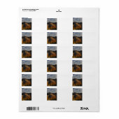 Étiquette Parc national des Badlands (Feuille entière)