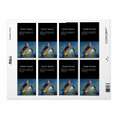 ÉTIQUETTE PARROS HYPER / BLEUE ARA (Feuille entière)