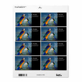 ÉTIQUETTE PARROS HYPER / BLEUE ARA (Feuille entière)