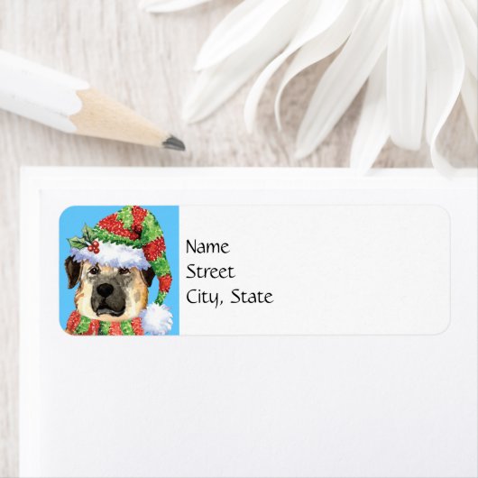 Étiquette pasteur anatolien de Noël (En situation)