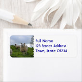 Étiquette Pâturage (En situation)