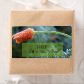 Étiquette Pavot californien légèrement congelé (En situation)