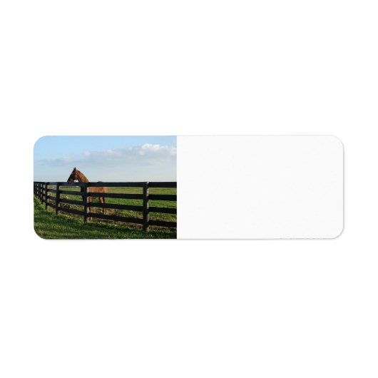 Étiquette Pays du Kentucky Bluegrass (Devant)