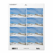Étiquette Paysage des dunes d'hiver (Feuille entière)