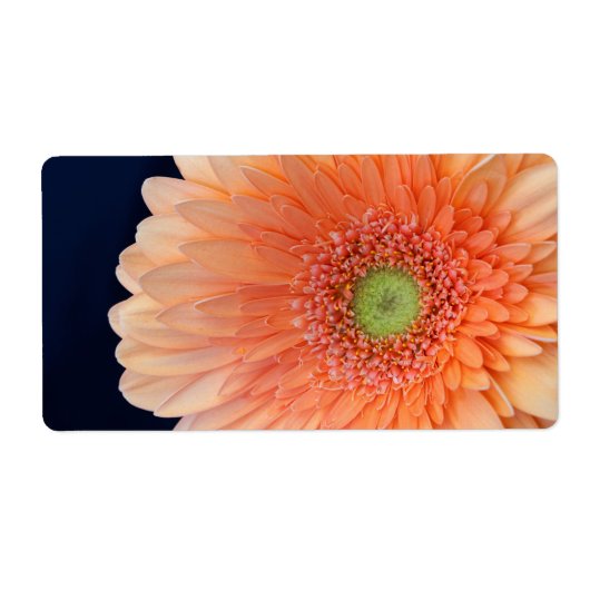 Étiquette Peach Gerbera (Devant)