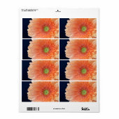 Étiquette Peach Gerbera (Feuille entière)