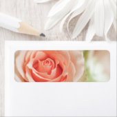 Étiquette Peach rose Arrière - plan Customisé (En situation)