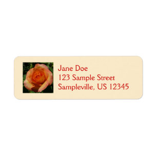 Étiquette Peach Rose Orange Floral Photographie