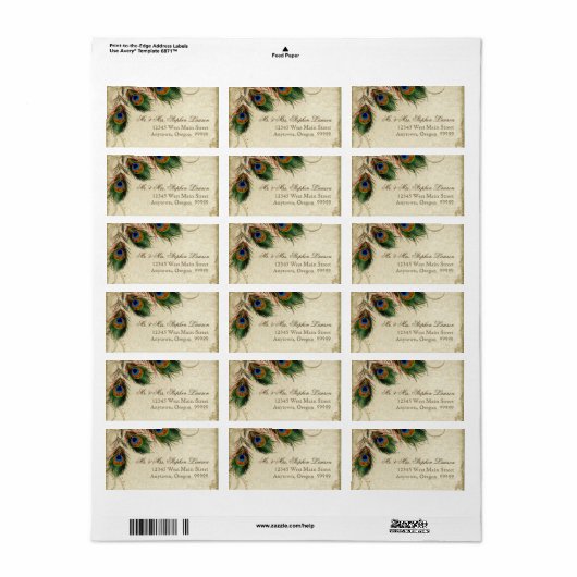 Étiquette Peacock & Feathers Formal Mariage Adresse de corre (Feuille entière)