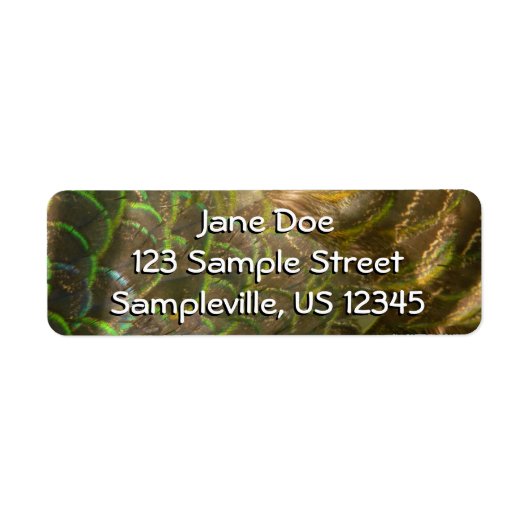 Étiquette Peacock Feathers III (Female) Subtil Nature Design (Devant)